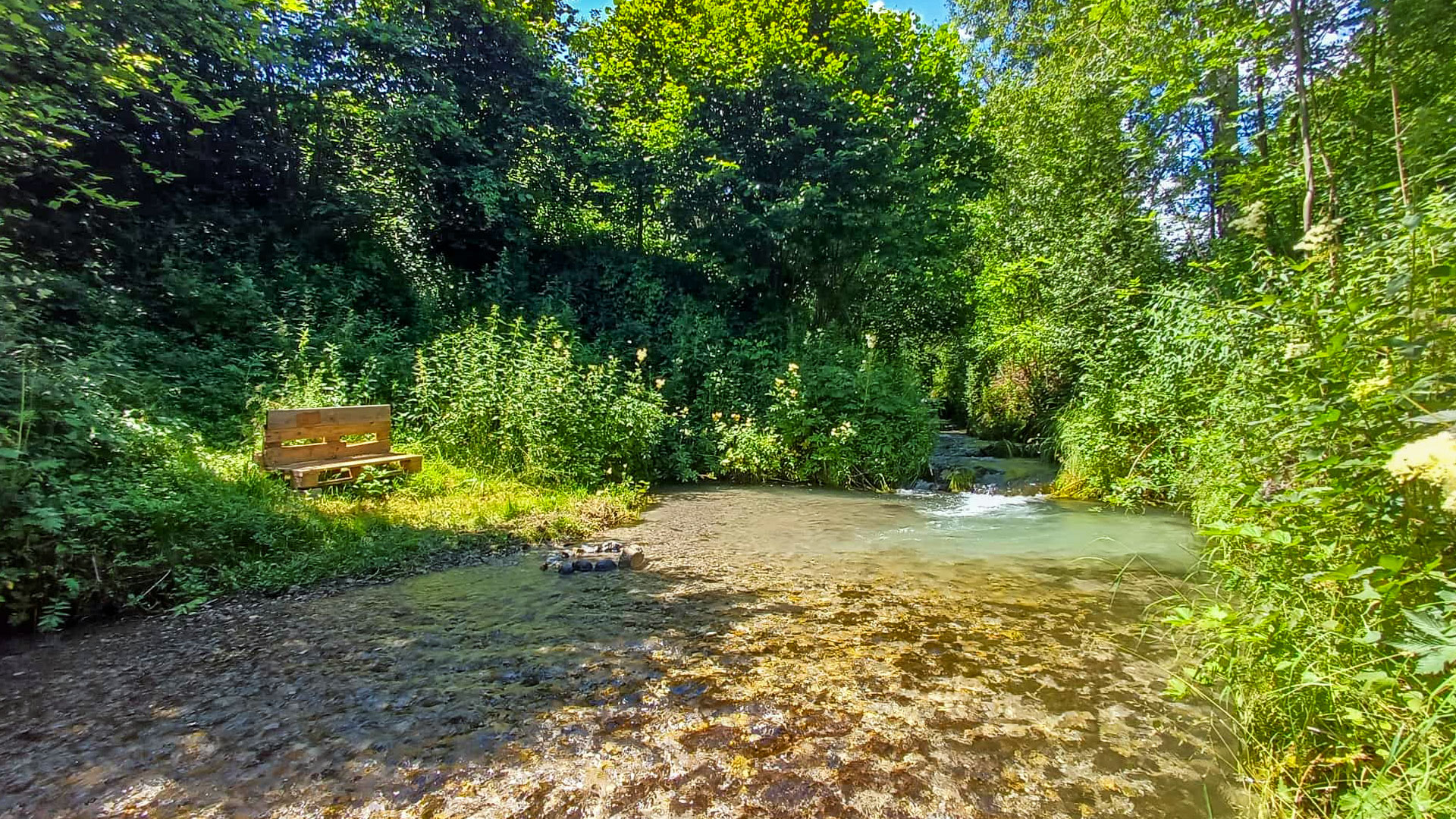 Ferienwohnungen Reinbacher in Gröbmin Steiermark
